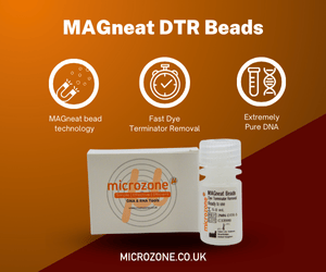 MAGneat DTR Beads